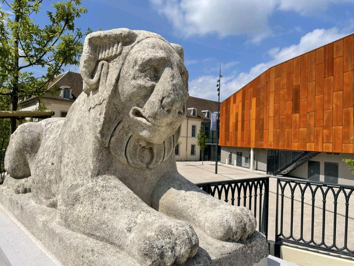 "Cosyterroir" Appartement Dijon 51M2 - Cite De La Gastronomie Et Du Vin - Arquebuse-Gare - Commodites A 2 Pas Buitenkant foto